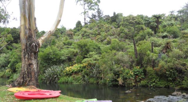 Kerikeri Holiday Park & Motels מראה חיצוני תמונה
